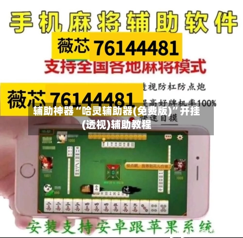 辅助神器“哈灵辅助器(免费版)”开挂(透视)辅助教程-第2张图片