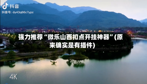 强力推荐“微乐山西扣点开挂神器”(原来确实是有插件)-第2张图片