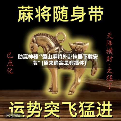 助赢神器“蜀山麻将外卦神器下载安装”(原来确实是有插件)