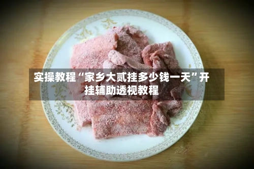 实操教程“家乡大贰挂多少钱一天	”开挂辅助透视教程-第2张图片