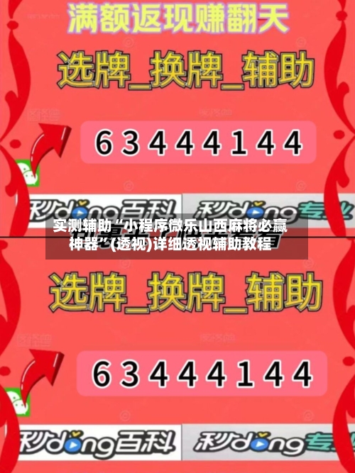 实测辅助“小程序微乐山西麻将必赢神器	”(透视)详细透视辅助教程-第2张图片