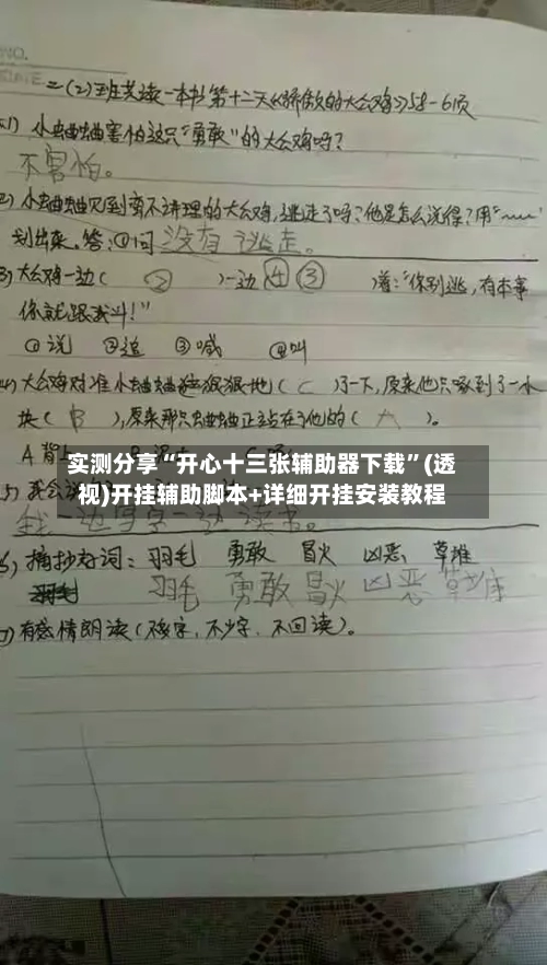 实测分享“开心十三张辅助器下载”(透视)开挂辅助脚本+详细开挂安装教程-第2张图片