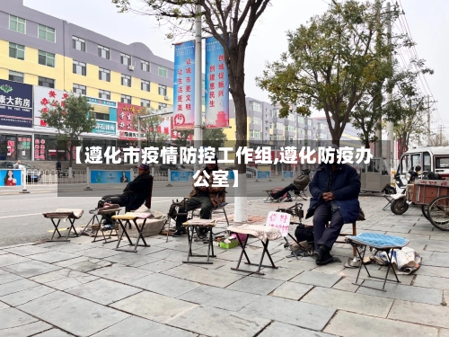 【遵化市疫情防控工作组,遵化防疫办公室】