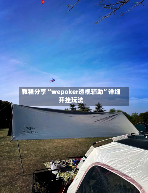 教程分享“wepoker透视辅助	”详细开挂玩法-第2张图片