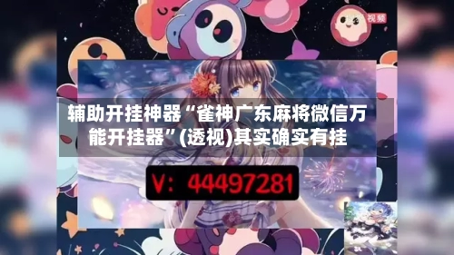 辅助开挂神器“雀神广东麻将微信万能开挂器”(透视)其实确实有挂-第3张图片