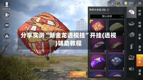 分享实测“新金龙透视挂”开挂(透视)辅助教程-第2张图片