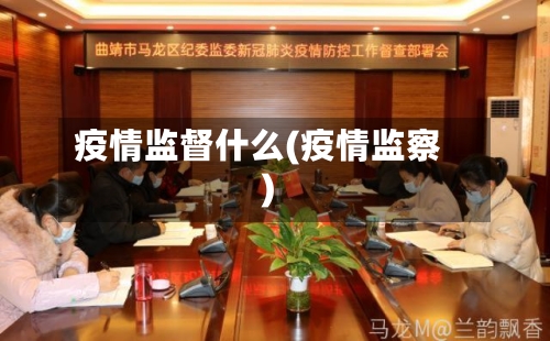 疫情监督什么(疫情监察)