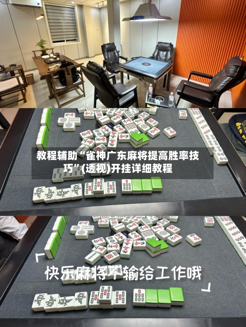 教程辅助“雀神广东麻将提高胜率技巧	”(透视)开挂详细教程-第2张图片
