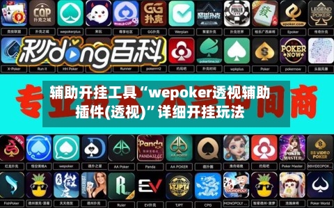 辅助开挂工具“wepoker透视辅助插件(透视)”详细开挂玩法