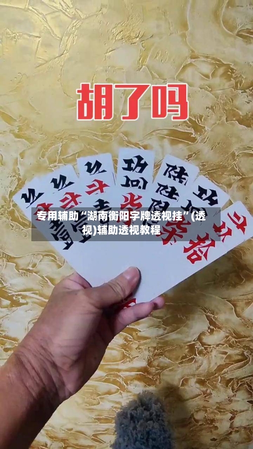 专用辅助“湖南衡阳字牌透视挂”(透视)辅助透视教程-第2张图片