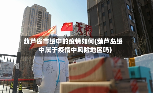 葫芦岛市绥中的疫情如何(葫芦岛绥中属于疫情中风险地区吗)-第2张图片