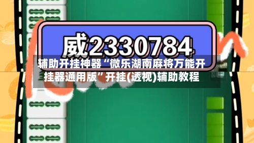 辅助开挂神器“微乐湖南麻将万能开挂器通用版”开挂(透视)辅助教程-第3张图片