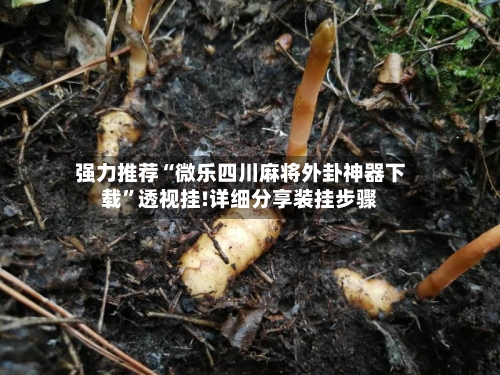 强力推荐“微乐四川麻将外卦神器下载”透视挂!详细分享装挂步骤-第2张图片