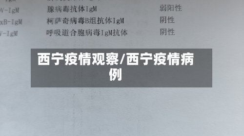 西宁疫情观察/西宁疫情病例-第3张图片