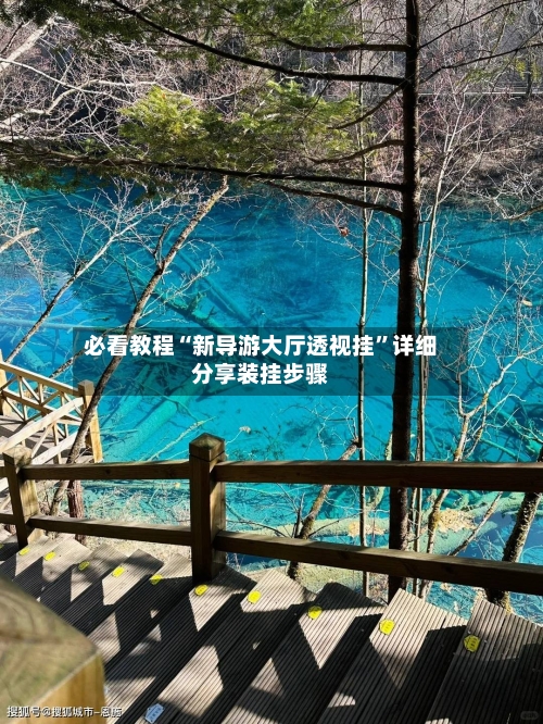 必看教程“新导游大厅透视挂	”详细分享装挂步骤-第2张图片