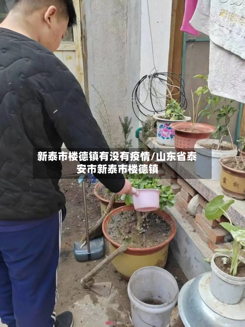 新泰市楼德镇有没有疫情/山东省泰安市新泰市楼德镇