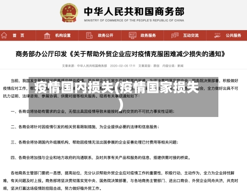 疫情国内损失(疫情国家损失)
