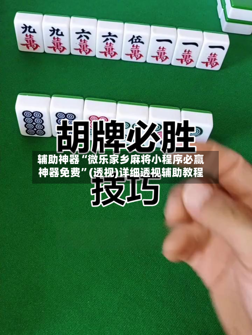 辅助神器“微乐家乡麻将小程序必赢神器免费”(透视)详细透视辅助教程-第2张图片