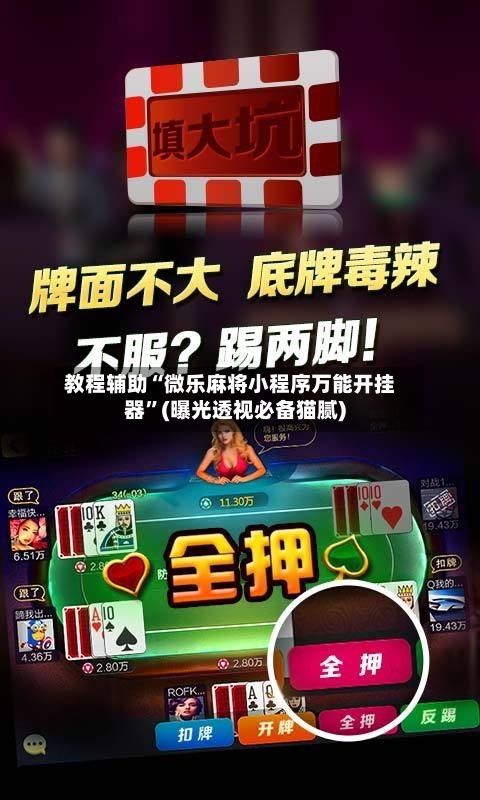 教程辅助“微乐麻将小程序万能开挂器”(曝光透视必备猫腻)