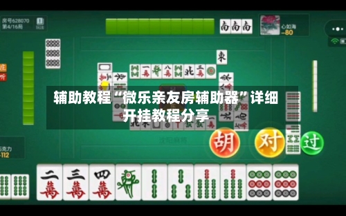 辅助教程“微乐亲友房辅助器”详细开挂教程分享-第2张图片