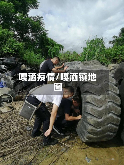 嘎洒疫情/嘎洒镇地图