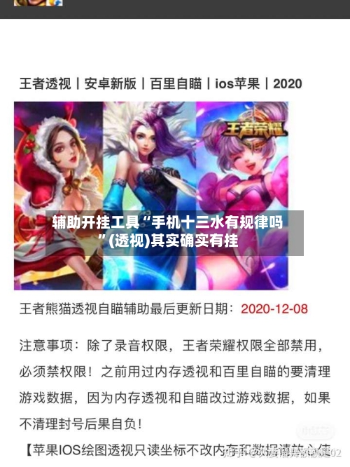 辅助开挂工具“手机十三水有规律吗	”(透视)其实确实有挂-第2张图片