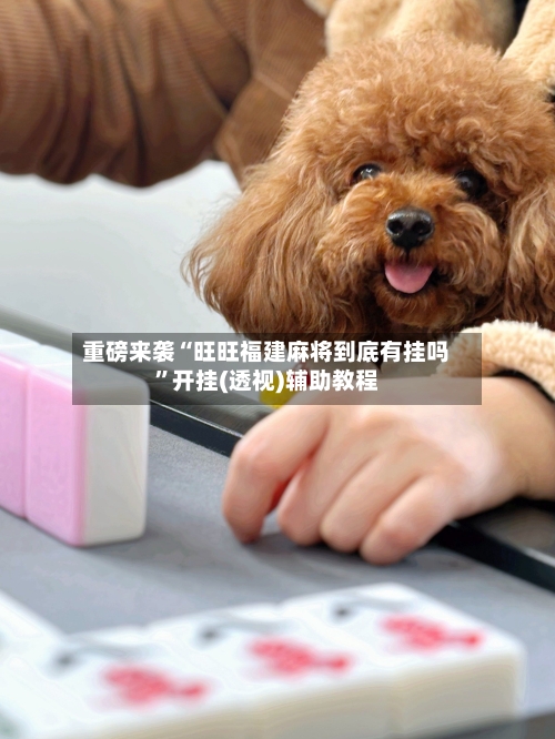 重磅来袭“旺旺福建麻将到底有挂吗	”开挂(透视)辅助教程-第2张图片