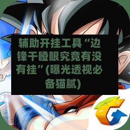 辅助开挂工具“边锋干瞪眼究竟有没有挂”(曝光透视必备猫腻)-第2张图片