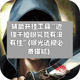 辅助开挂工具“边锋干瞪眼究竟有没有挂	”(曝光透视必备猫腻)-第3张图片