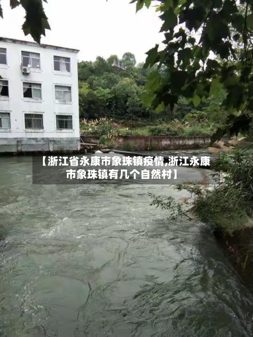 【浙江省永康市象珠镇疫情,浙江永康市象珠镇有几个自然村】-第2张图片