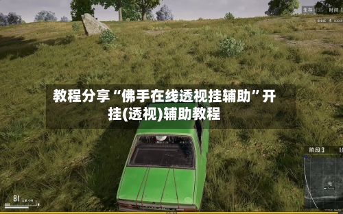 教程分享“佛手在线透视挂辅助”开挂(透视)辅助教程-第2张图片