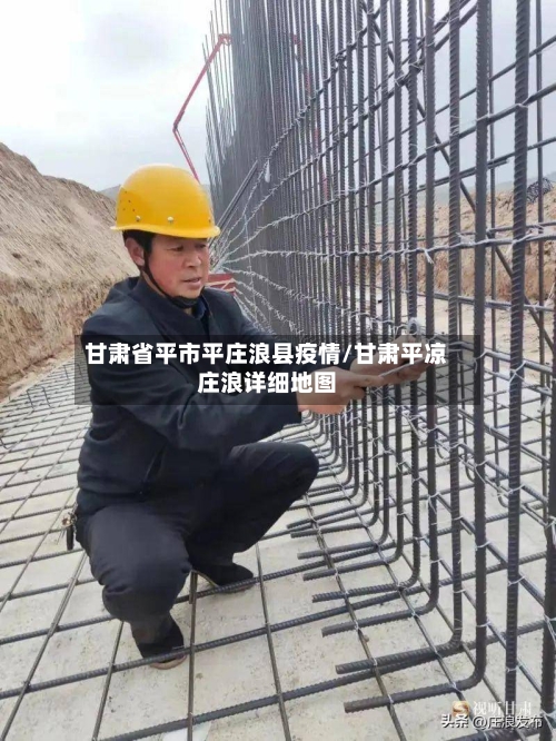 甘肃省平市平庄浪县疫情/甘肃平凉庄浪详细地图