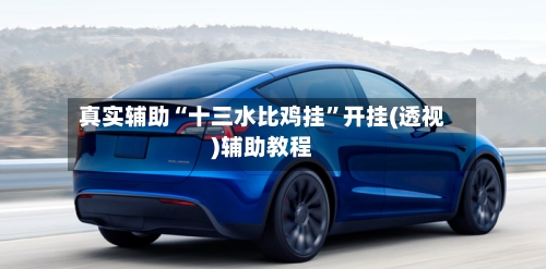 真实辅助“十三水比鸡挂”开挂(透视)辅助教程-第2张图片