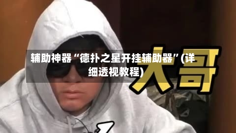 辅助神器“德扑之星开挂辅助器”(详细透视教程)