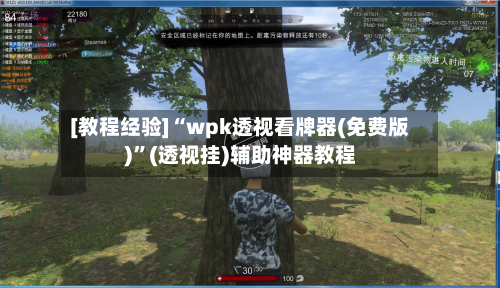 [教程经验]“wpk透视看牌器(免费版)”(透视挂)辅助神器教程-第3张图片