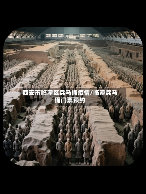 西安市临潼区兵马俑疫情/临潼兵马俑门票预约-第3张图片