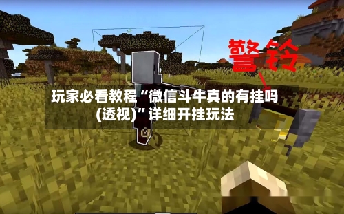 玩家必看教程“微信斗牛真的有挂吗(透视)”详细开挂玩法-第3张图片