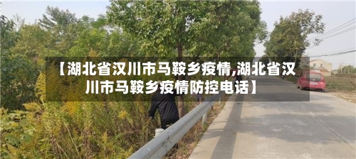 【湖北省汉川市马鞍乡疫情,湖北省汉川市马鞍乡疫情防控电话】-第2张图片