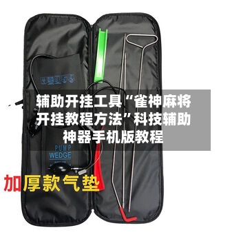 辅助开挂工具“雀神麻将开挂教程方法”科技辅助神器手机版教程-第2张图片