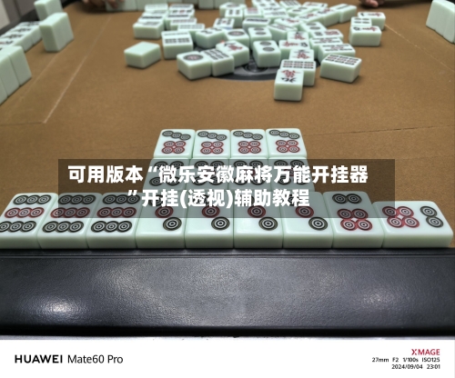 可用版本“微乐安徽麻将万能开挂器”开挂(透视)辅助教程