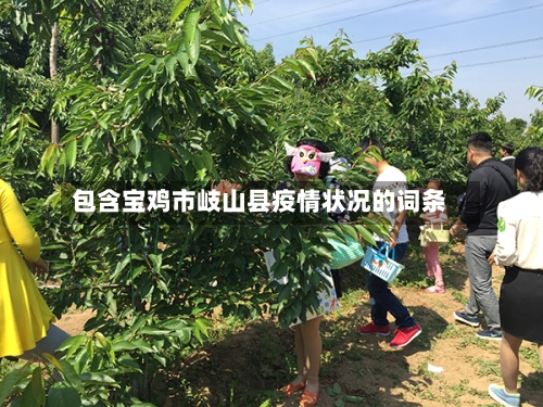 包含宝鸡市岐山县疫情状况的词条