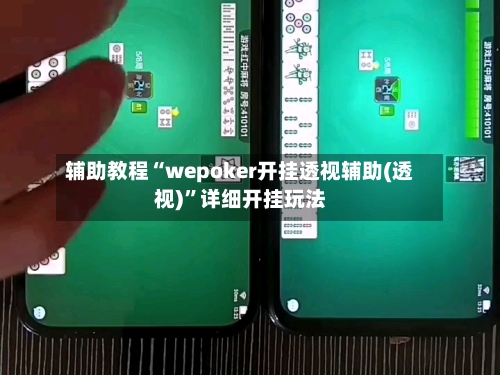 辅助教程“wepoker开挂透视辅助(透视)”详细开挂玩法
