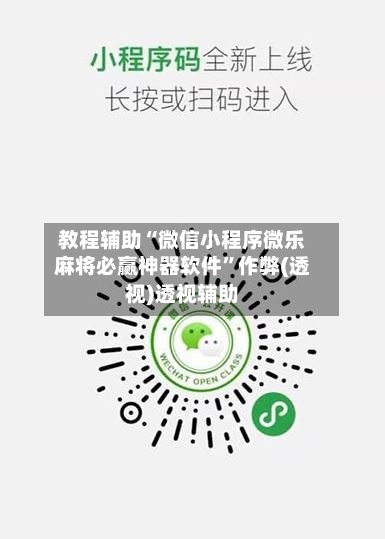 教程辅助“微信小程序微乐麻将必赢神器软件”作弊(透视)透视辅助-第3张图片