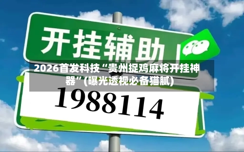 2026首发科技“贵州捉鸡麻将开挂神器”(曝光透视必备猫腻)-第2张图片