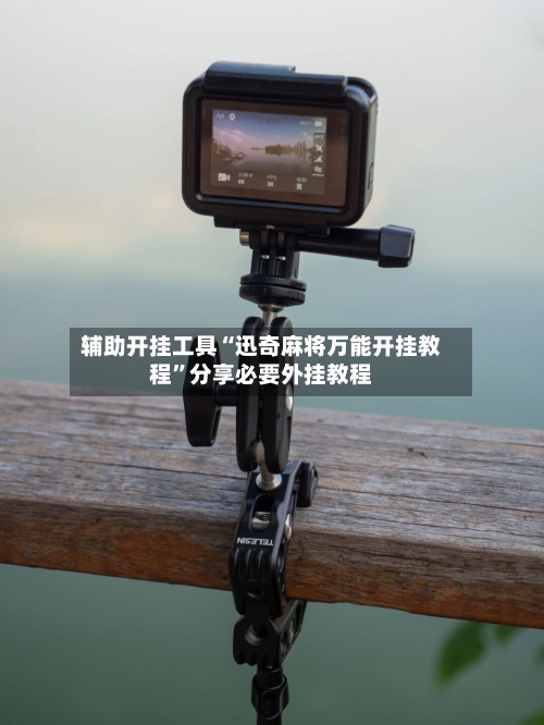 辅助开挂工具“迅奇麻将万能开挂教程	”分享必要外挂教程-第2张图片