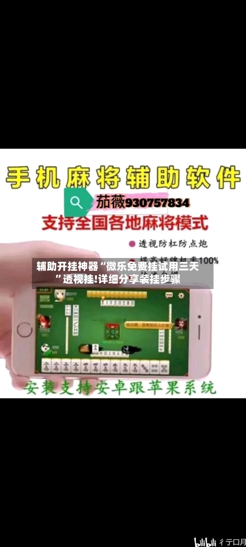 辅助开挂神器“微乐免费挂试用三天”透视挂!详细分享装挂步骤-第2张图片
