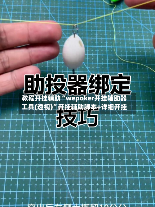 教程开挂辅助“wepoker开挂辅助器工具(透视)”开挂辅助脚本+详细开挂-第2张图片