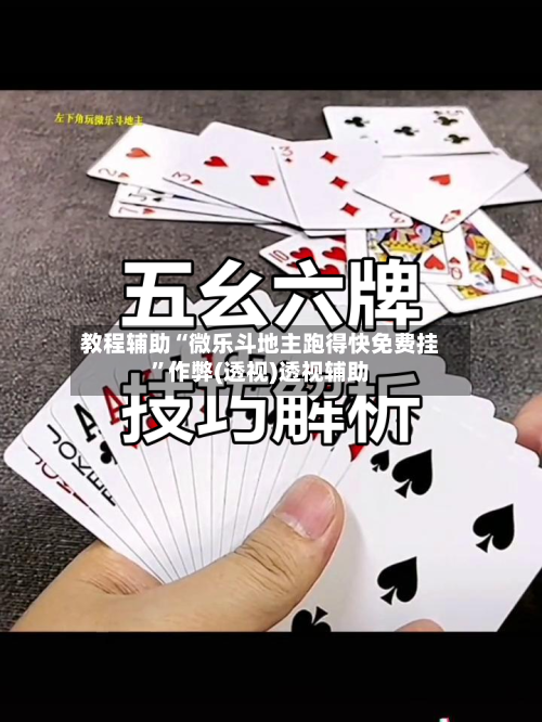 教程辅助“微乐斗地主跑得快免费挂	”作弊(透视)透视辅助-第2张图片