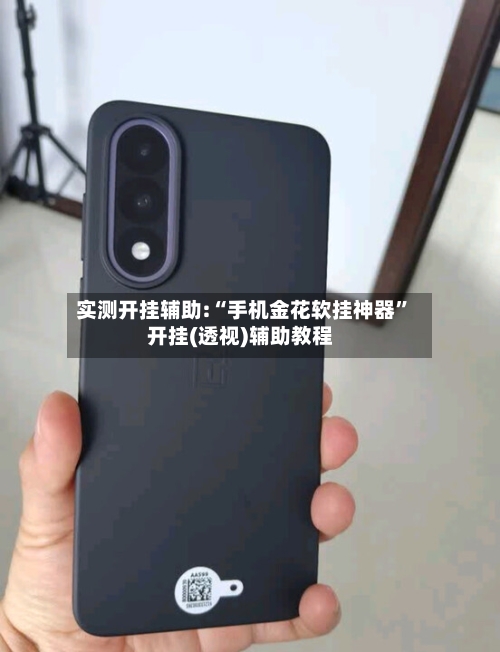 实测开挂辅助:“手机金花软挂神器”开挂(透视)辅助教程-第3张图片