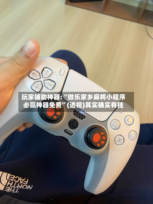 玩家辅助神器:“微乐家乡麻将小程序必赢神器免费”(透视)其实确实有挂-第3张图片